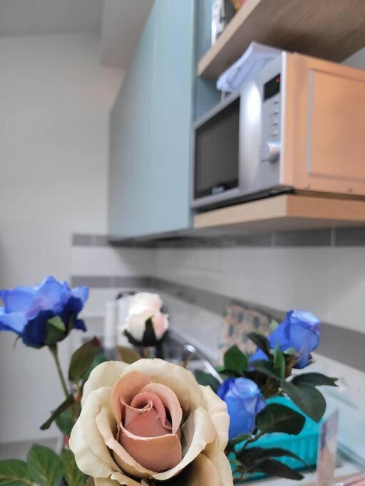 Casa Fiori Blu - Figline Valdarno公寓 外观 照片