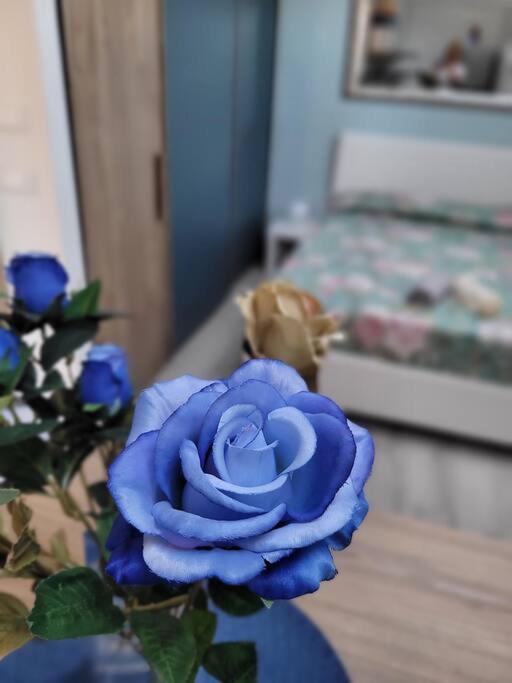 Casa Fiori Blu - Figline Valdarno公寓 外观 照片